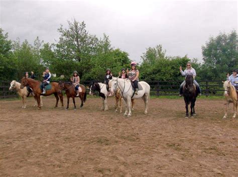 Moorlands Equestrian Centre Horse Riding Lessonslivery Leitrim