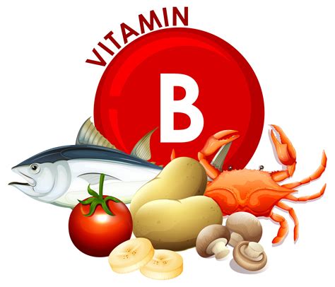 A Set Of Vitamin B Food Vector Art At Vecteezy