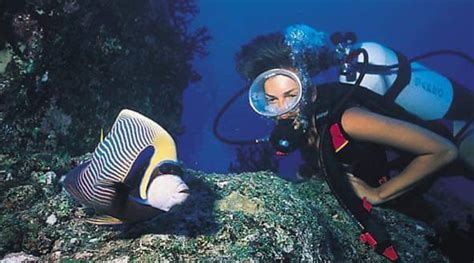 Best Scuba Diving In Mauritius