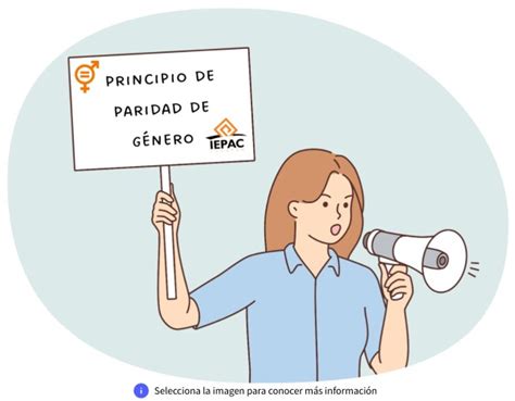 Principio De Paridad De Género