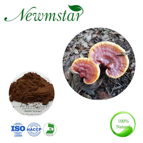 Natural Pure Polysaccharides 10 Mushroom Extract Reishi Extract