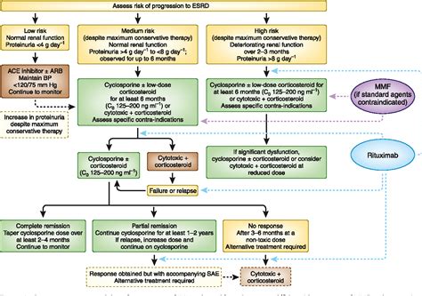 Figure 1 From Treatment Of Idiopathic Membranous Nephropathy Semantic Scholar