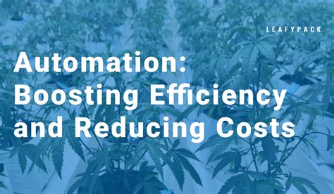 Automation Boosting Efficiency And Reducing Costs Leafypack