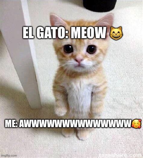 El Gato Imgflip