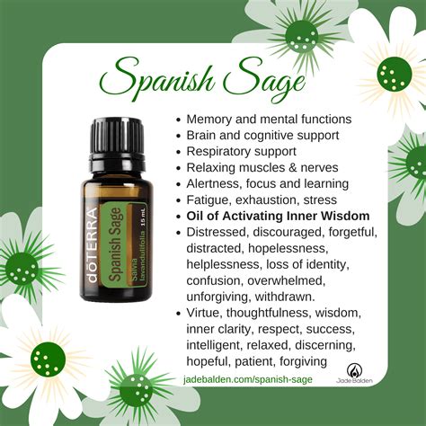 Spanish Sage Jade Balden