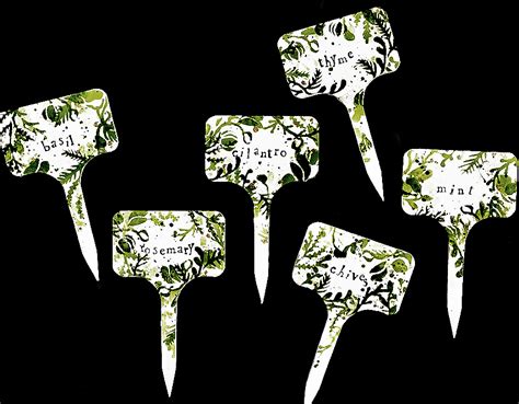 Stencilgirl® Talk Parsley Sage Rosemary And Thyme