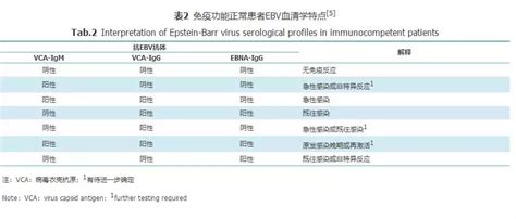 Eb病毒感染实验室诊断及临床应用专家共识 抗体