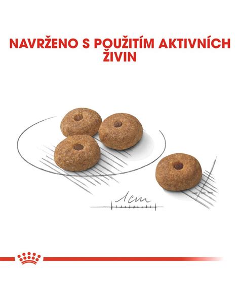 ROYAL CANIN Mini sterilised 1 kg granule pro kastrované malé psy v