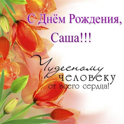 Поздравления Александру (50 картинок) ⚡ Фаник.ру