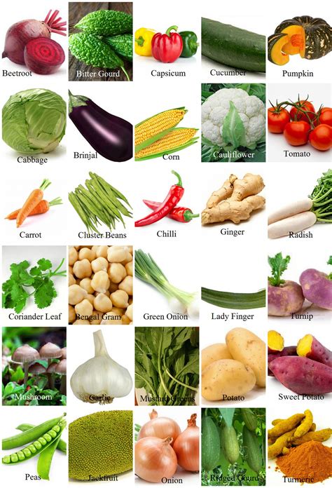 Vegetables Names In Tamil And English With Pictures In Pdf Andi Healthy