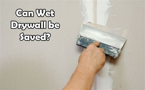 Can Wet Drywall Be Saved Lets Find Out What Can Be Done