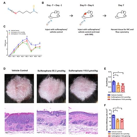 Figure 1 From Sulforaphane Ameliorates The Severity Of Psoriasis And