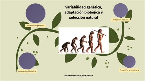 Variabilidad genética adaptación biológica y selección natural by