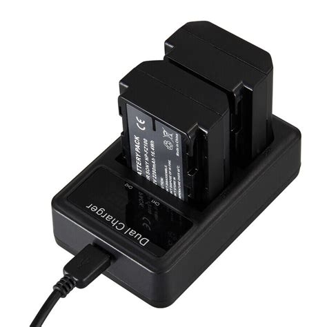 Npfz100 Rechargeable Battery Pack Dual Usb Charger For Sony Z Series Alpha A9 Ebay