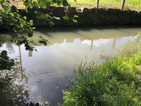 Descargas ilegais geram revolta em Perre: “Há que punir severamente