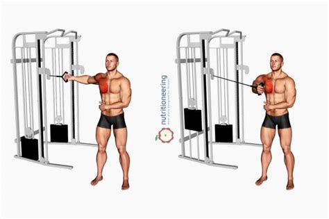 21 Cable Chest Exercises For Upper Lower And Mid Pec Workout