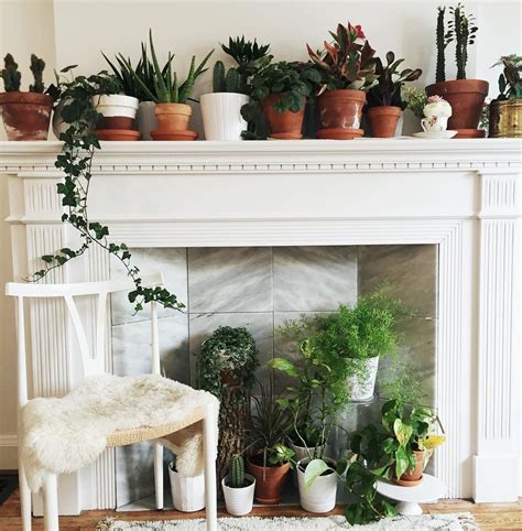 Image Result For Fireplace Plants Home Decor Fireplace Decor Home