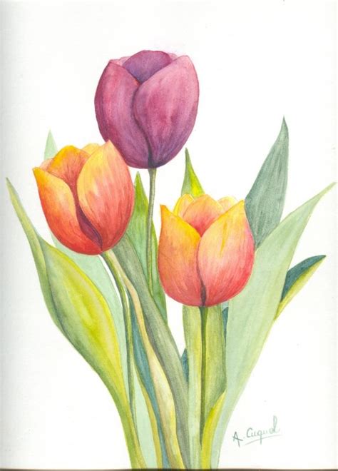 Tableau Peinture Art Tulipes Fleurs Printemps Nature Fleurs Aquarelle