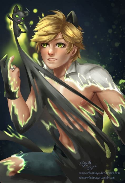 Adrien Agreste Miraculous Ladybug Miraculous Ladybug Anime Miraculous Ladybug Fan Art