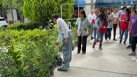 Gobierno de Matehuala entrega árboles para reforestar maquiladora Diltex