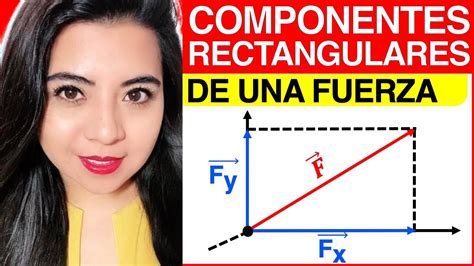 Componentes Rectangulares De Un Vector De Fuerza Explicaci N Youtube