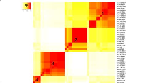 Heatmap Of Linkage Disequilibrium Ld Values R Between Candidate