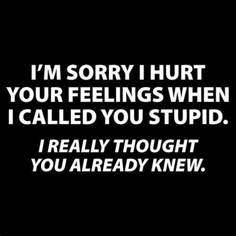 I Love You Stupid Quotes Quotesgram