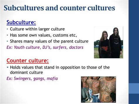 Ppt Culture Powerpoint Presentation Free Download Id348717