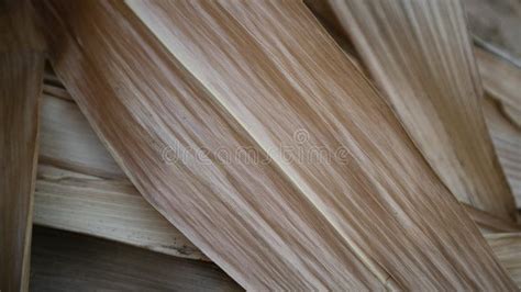 Dried Brown Corn Leaves With Natural Texture Stock Image Image Of