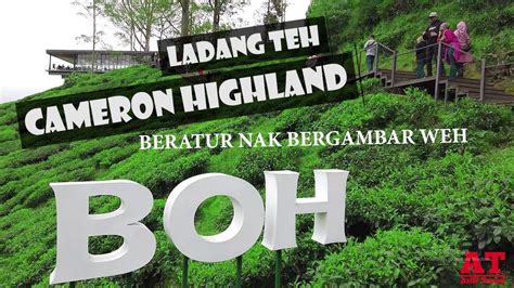 Cameron Highland Ladang Teh Boh Ariff Travel Youtube