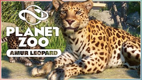 New Amur Leopard Planet Zoo Conservation Pack Screenshot Reveals