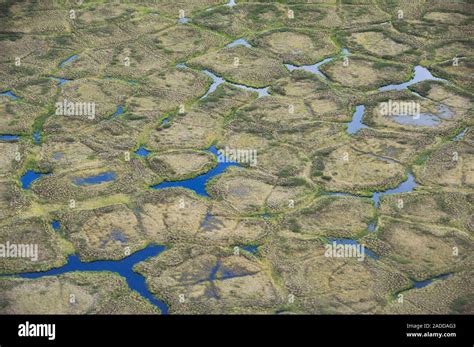 Ice Wedge Polygons In Alaskan Tundra Aerial Photograph Ice Wedge