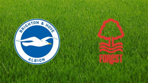 Brighton Hove Albion Vs Nottingham Forest 2022 2023 Footballia