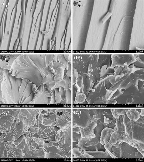 SEM Images Of Fracture Surfaces Of A 1 A 2 Neat Epoxy B 1 B 2