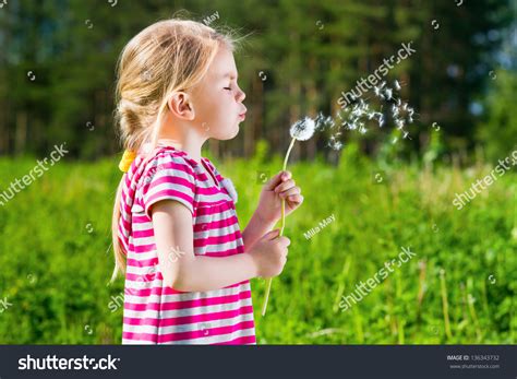 Cute Blond Little Girl Blowing Dandelion Stock Photo 136343732