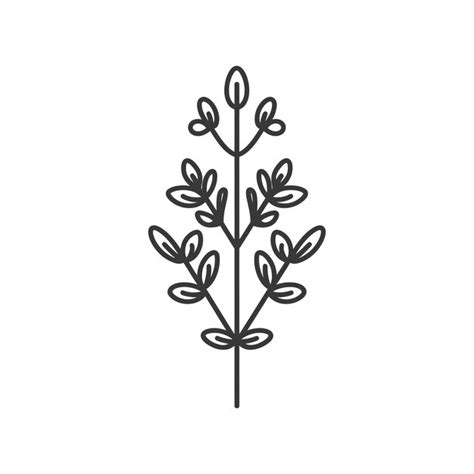 Line Art Illustration Of A Simple Plant With Leaves Premium Ai