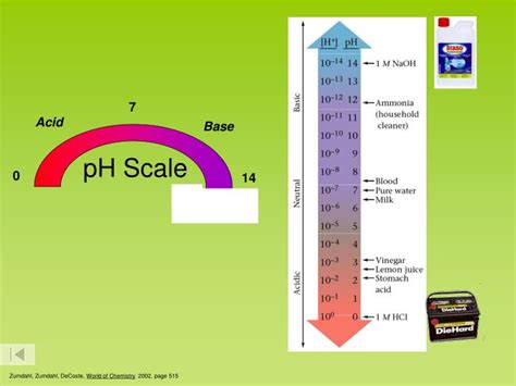 Ppt Ph Scale And Calculations Powerpoint Presentation Id