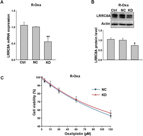 LRRC8A Promotes The Initial Development Of Oxaliplatin Resistance In