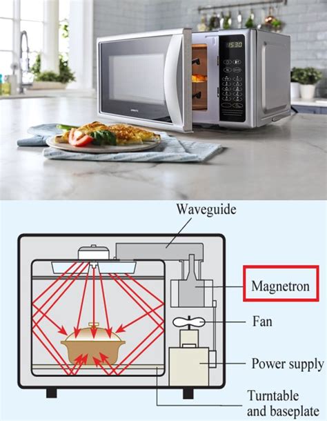 Is Microwave Oven Safe? - Moniem-Tech