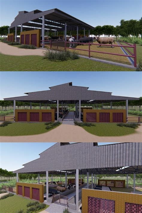 Modern Cattle Sheds Punjab Artofit