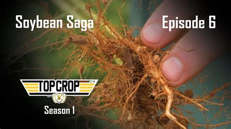 Top Crop Episode Soybean Saga Youtube