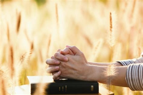 Premium Photo A Christian Praying On The Bible And The Sunset The Reed And The Barley Field