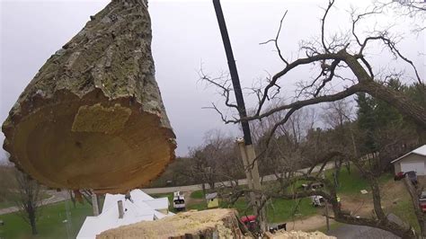 Dangerous Tree Removal Gopro Footage Youtube