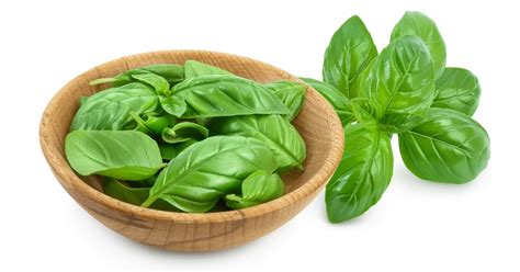 10 Substitutes for Basil (Best Options) - Insanely Good