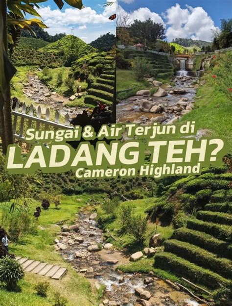 Cameron Highland Hidden Gems Ada Sungai Dan Air Terjun Di Ladang Teh