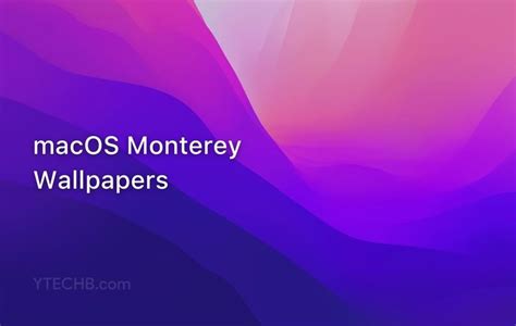 macOS Monterey Wallpaper Collection in 6K Resolution