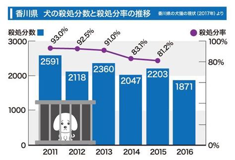 犬・猫殺処分ゼロを目指す！ 全国ワースト1の香川でプロジェクトライフ社会総合デイリースポーツ Online