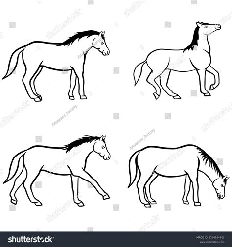 Horse Outline Vector Set Horses Collection Stock Vector (Royalty Free ...