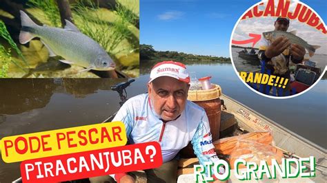 Pode Pescar Piracanjuba No Rio Grande Youtube