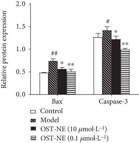 Effects Of Ost Ne On The Protein Levels Of Bax And Caspase In